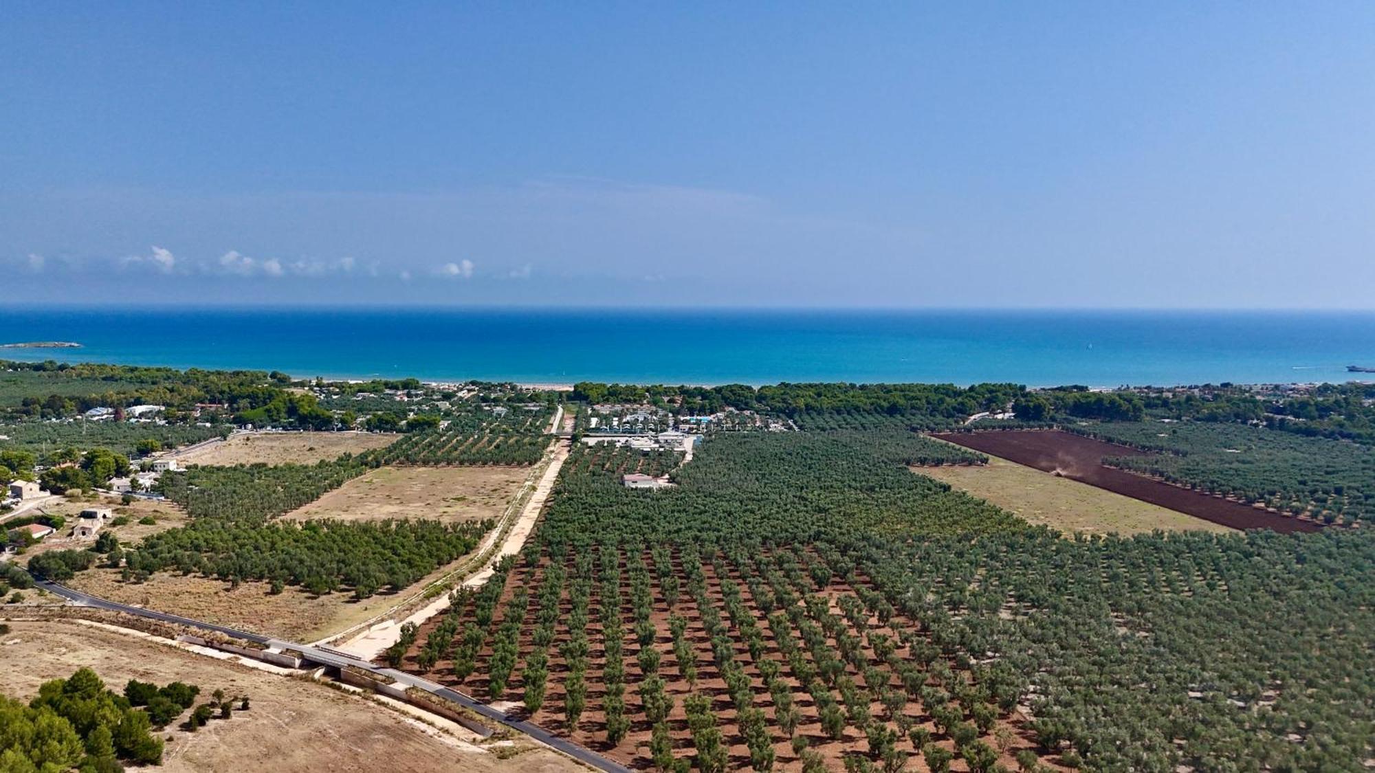 Villa Amica Vieste Exteriör bild